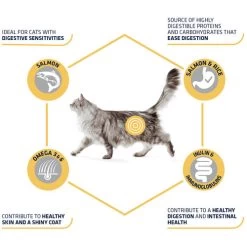 Affinity Advance Adult Salmon Sensitive - Katze -Beeztees Store affinity advance adult salmon sensitive kat 178666 0500 none