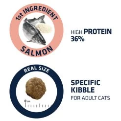 Affinity Advance Adult Salmon Sensitive - Katze -Beeztees Store affinity advance adult salmon sensitive kat 178669 0500 none