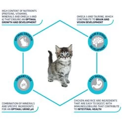 Affinity Advance Kitten Huhn Und Reis -Beeztees Store affinity advance kitten kip en rijst kat 178231 0500 none