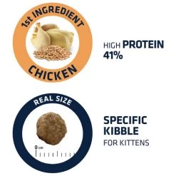 Affinity Advance Kitten Huhn Und Reis -Beeztees Store affinity advance kitten kip en rijst kat 178234 0500 none
