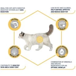 Affinity Advance Sterilized Salmon Sensitive - Katze -Beeztees Store affinity advance sterilized salmon sensitive kat 178282 0500 none