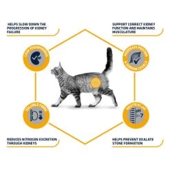 Affinity Advance Veterinary Diets Renal Katze -Beeztees Store affinity advance veterinary diets renal kat 176884 0500 none