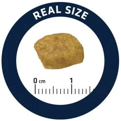 Affinity Advance Veterinary Diets Renal Katze -Beeztees Store affinity advance veterinary diets renal kat 176890 0500 none