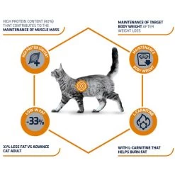 Affinity Advance Veterinary Diets Weight Balance Katze 12 Affinity Advance Veterinary Diets Weight Balance Katze -Beeztees Store affinity advance veterinary diets weight balance kat 178093 0500 none