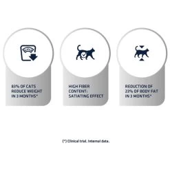 Affinity Advance Veterinary Diets Weight Balance Katze 15 Affinity Advance Veterinary Diets Weight Balance Katze -Beeztees Store affinity advance veterinary diets weight balance kat 178096 0500 none