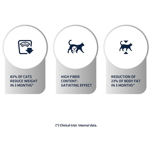 Affinity Advance Veterinary Diets Weight Balance Katze 8 Affinity Advance Veterinary Diets Weight Balance Katze – Bild 8