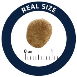 Affinity Advance Veterinary Diets Weight Balance Katze 11 Affinity Advance Veterinary Diets Weight Balance Katze -Beeztees Store affinity advance veterinary diets weight balance kat 178099 0500 none