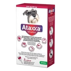 Ataxxa