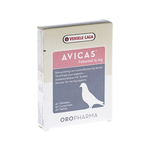 Avicas 1 Avicas