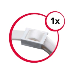 Beaphar Flöhe- Und Zekenband Hund -Beeztees Store beaphar vlooien en tekenband 221688 0500 none