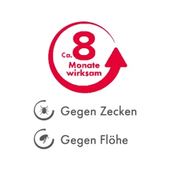 Beaphar Flöhe- Und Zekenband Hund -Beeztees Store beaphar vlooien en tekenband 221690 0500 none