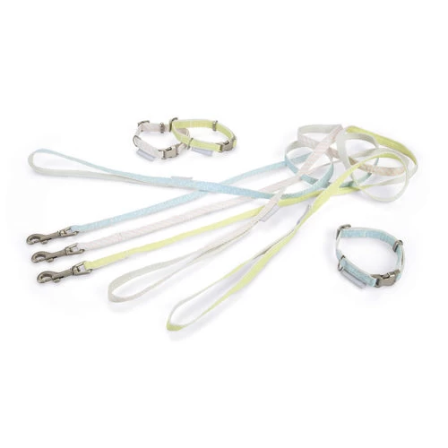 Beeztees Halsband & Leine 1 Beeztees Halsband & Leine