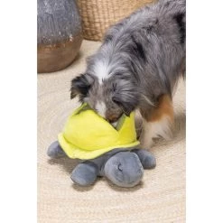 Beeztees Hide And Seek Schildo -Beeztees Store beeztees hide and seek schildo 221788 0500 none