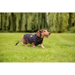 Beeztees Hundepullover Celia -Beeztees Store beeztees hondentrui celia 219140 0500 none