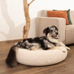 Beeztees Memory Foam Jaxx - Hundekorb - Plüsch -Beeztees Store beeztees memory foam jaxx hondenmand pluche beige 184432 0500 none