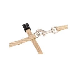 Beeztees Nylon Katzengeschirr Uni - Beige 6 Beeztees Nylon Katzengeschirr Uni - Beige -Beeztees Store beeztees nylon kattentuig uni beige 186637 0500 none