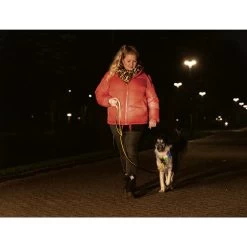 Beeztees Safety Gear Parinca Premium Halsband 15 Beeztees Safety Gear Parinca Premium Halsband -Beeztees Store beeztees safety gear parinca premium halsband 215009 0500 none