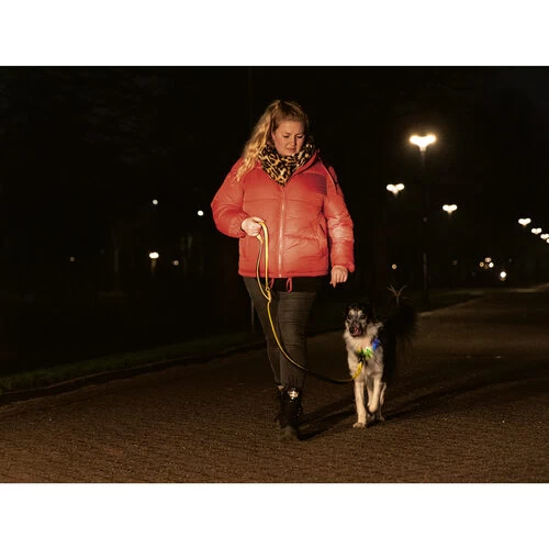 Beeztees Safety Gear Parinca Premium Halsband 8 Beeztees Safety Gear Parinca Premium Halsband – Bild 8