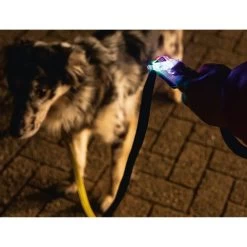 Beeztees Safety Gear Parinca Premium Hundeleine -Beeztees Store beeztees safety gear parinca premium hondenriem 215036 0500 none