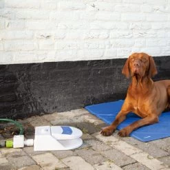 Beeztees Splashy Water Fountain 8 Beeztees Splashy Water Fountain -Beeztees Store beeztees splashy waterfontein 163285 0500 none