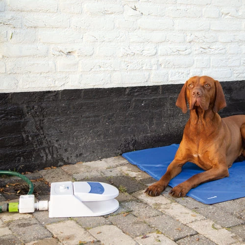 Beeztees Splashy Water Fountain 4 Beeztees Splashy Water Fountain – Bild 4