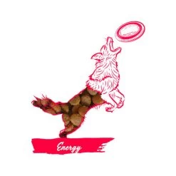 Calibra Dog Expert Nutrition Energy -Beeztees Store calibra dog expert nutrition energy 163534 0500 none