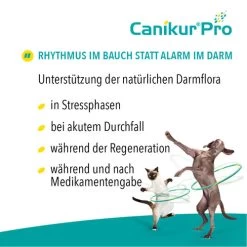 Canikur® Pro Diät-Ergänzungsfuttermittel Für Hunde 7 Canikur® Pro Diät-Ergänzungsfuttermittel Für Hunde -Beeztees Store canikur pro 213692 0500 none