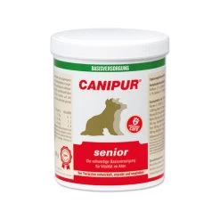 Canipur Senior