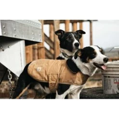Carhartt Dog Chore Coat 11 Carhartt Dog Chore Coat -Beeztees Store carhartt dog chore coat 186748 0500 none