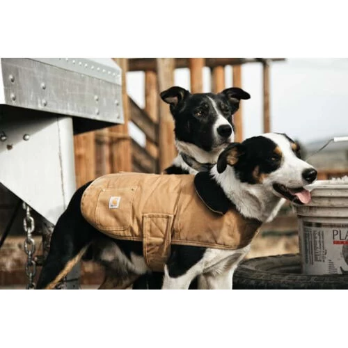 Carhartt Dog Chore Coat 6 Carhartt Dog Chore Coat – Bild 6