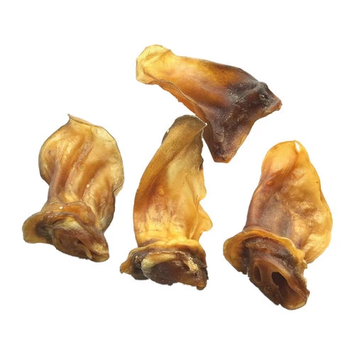 Competition Lammohren 1 Competition Lammohren