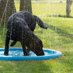 CoolPets Splash Pool Water Sprinkler -Beeztees Store coolpets splash pool sproeier 174286 0500 none