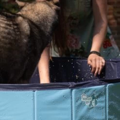 CoolPets Hundepool -Beeztees Store coolpets zwembad 198134 0500 none