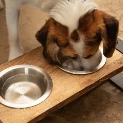 Designed By Lotte Holz-Dinerset Karinto -Beeztees Store designed by lotte houten dinerset karinto 164311 0500 none