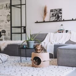 District 70 Bunker -Beeztees Store district 70 bunker 190954 0500 none