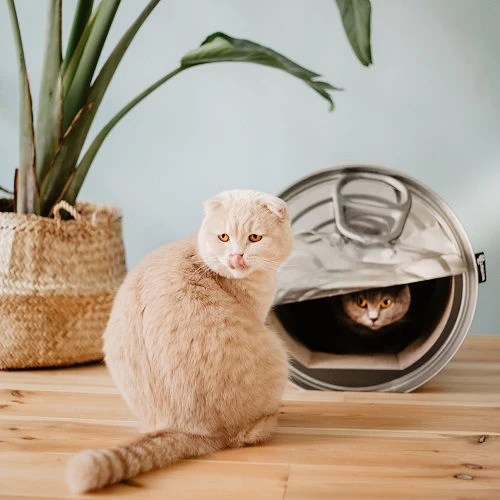 District 70 Can 2 District 70 Can – Bild 2