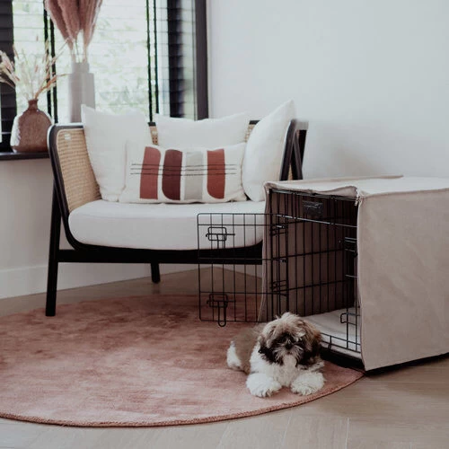 District 70 Crate Hundebox 3 District 70 Crate Hundebox – Bild 3