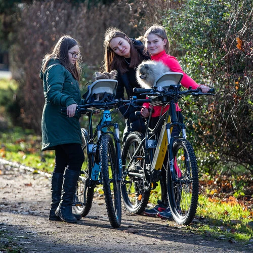 Dogrider Dog Seat + Korb - Grau 2 Dogrider Dog Seat + Korb - Grau – Bild 2