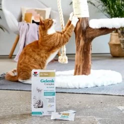 Doppelherz Gelenk Complex Für Katzen 12 Doppelherz Gelenk Complex Für Katzen -Beeztees Store doppelherz gelenk complex fuer katzen 195053 0500 none