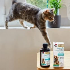Doppelherz Gelenk Öl Omega-3 Für Katzen Und Hunde -Beeztees Store doppelherz gelenk oel fuer katzen hunde 195062 0500 none