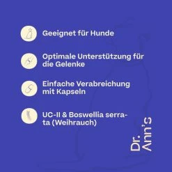 Dr. Ann's Mobility Support Advanced 9 Dr. Ann's Mobility Support Advanced -Beeztees Store dr anns mobility support advanced 213137 0500 none