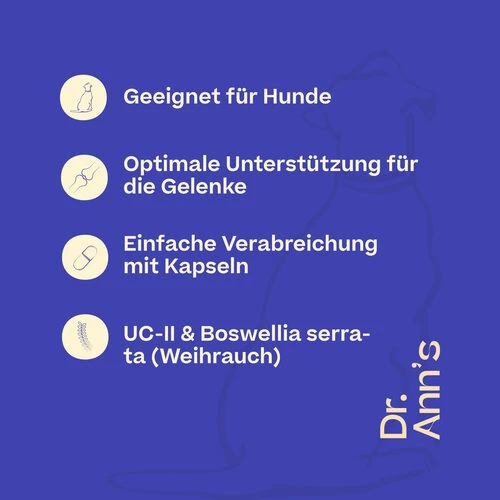 Dr. Ann's Mobility Support Advanced 5 Dr. Ann's Mobility Support Advanced – Bild 5