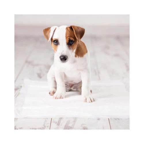 Duvo+ Puppy Pads Fresh Grass 2 Duvo+ Puppy Pads Fresh Grass – Bild 2