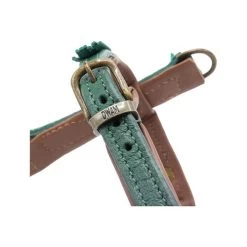 DWAM Hundegschirr Ivy -Beeztees Store dwam hondentuigje ivy 182740 0500 none