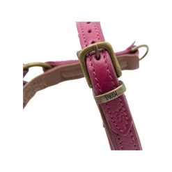 DWAM Hundegeschirr Lou Lou -Beeztees Store dwam hondentuigje lou lou 182158 0500 none