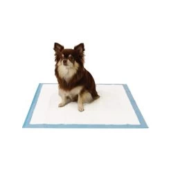 Easypets Trainingpads -Beeztees Store easypets trainingspads 184186 0500 none