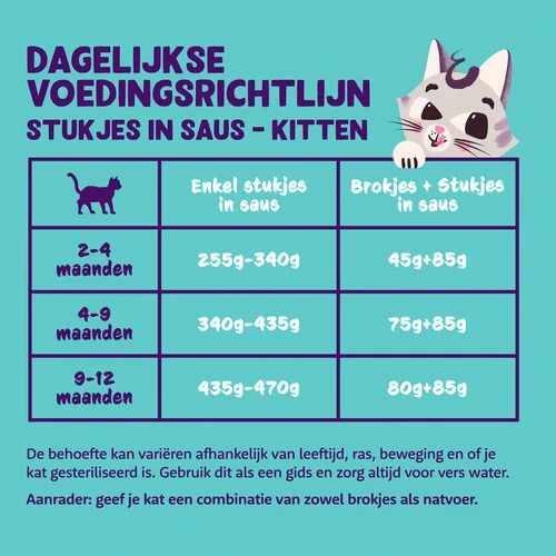 Edgard & Cooper Kitten Stückchen In Sauce 4 Edgard & Cooper Kitten Stückchen In Sauce – Bild 4