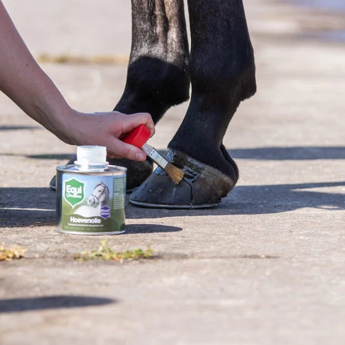 Equi Protecta Huföl 2 Equi Protecta Huföl – Bild 2