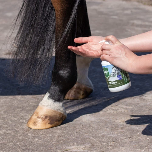Equi Protecta Mallanders Gel 2 Equi Protecta Mallanders Gel – Bild 2