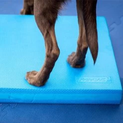 FitPAWS Balance Pad -Beeztees Store fitpaws balance pad 176131 0500 none